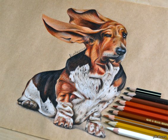 Животные фломастерами