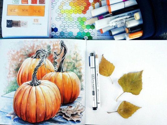 Тыква скетчинг