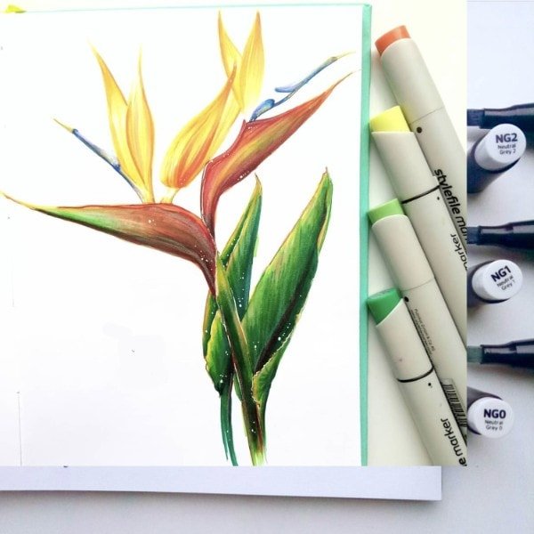 Ботанический скетчинг маркерами