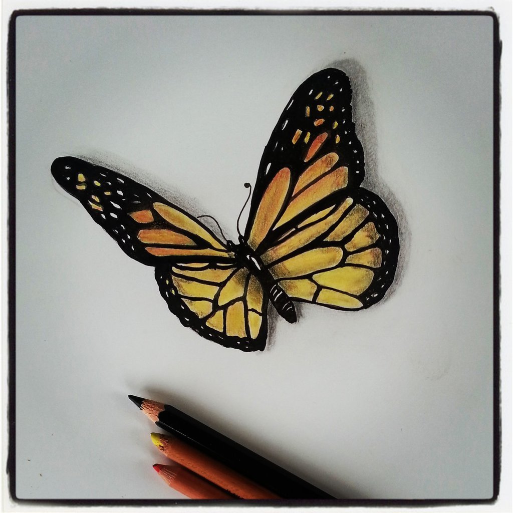 3д бабочка карандашом