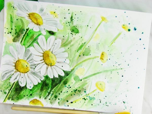 Ромашки рисунок акварелью