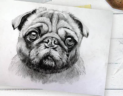 Мопс рисунок маркерами