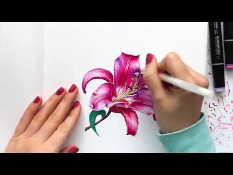 Цветок Лилия маркерами