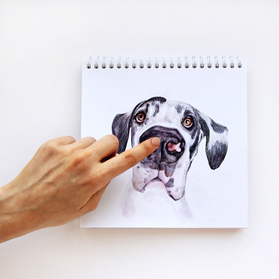 Креативные иллюстрации собак