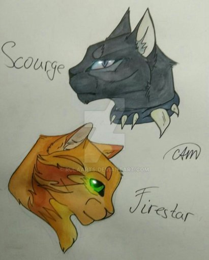 Коты Воители Бич и Огнезвёзд