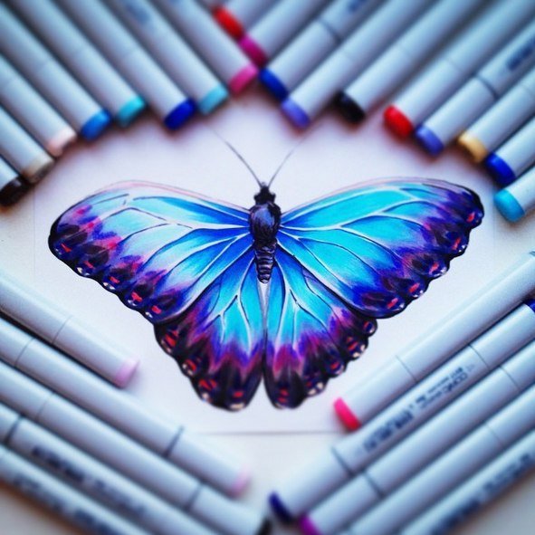 Бабочка скетч маркерами