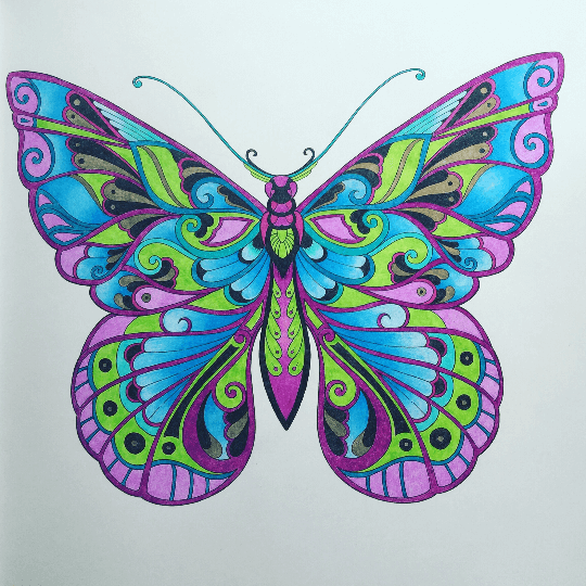 Бабочка без контура