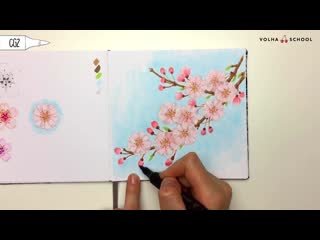 Сакура рисунок маркерами
