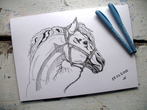 Лошадь для скетчбука легко