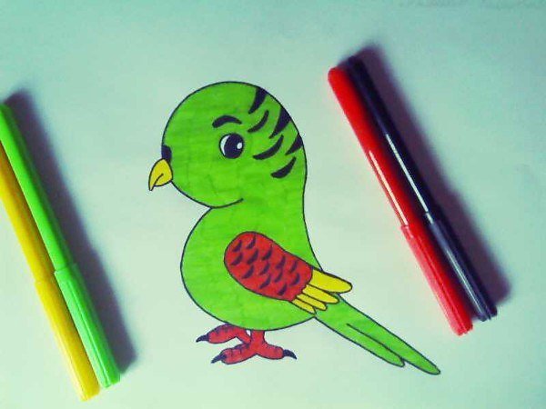 Рисунки маркерами попугай