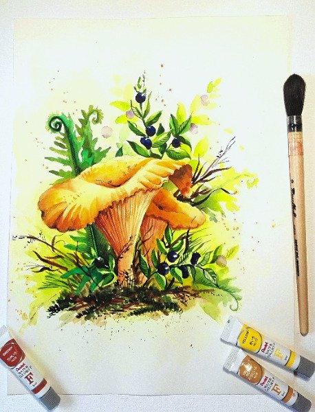 Лисички акварелью грибы