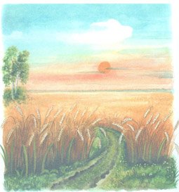 Трава карандашом