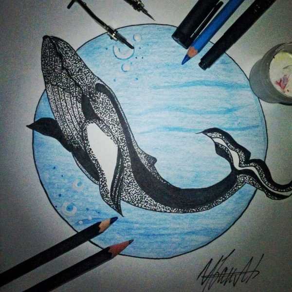 Рисунки китов гелевой ручкой
