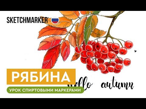 Рябина фломастерами