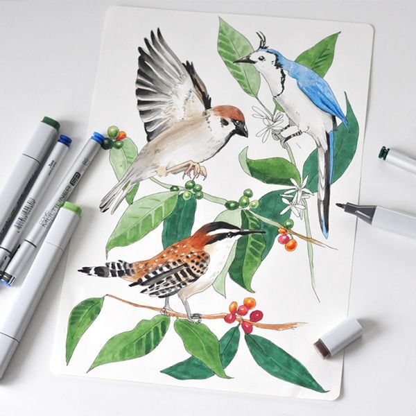 Скетчинг птицы