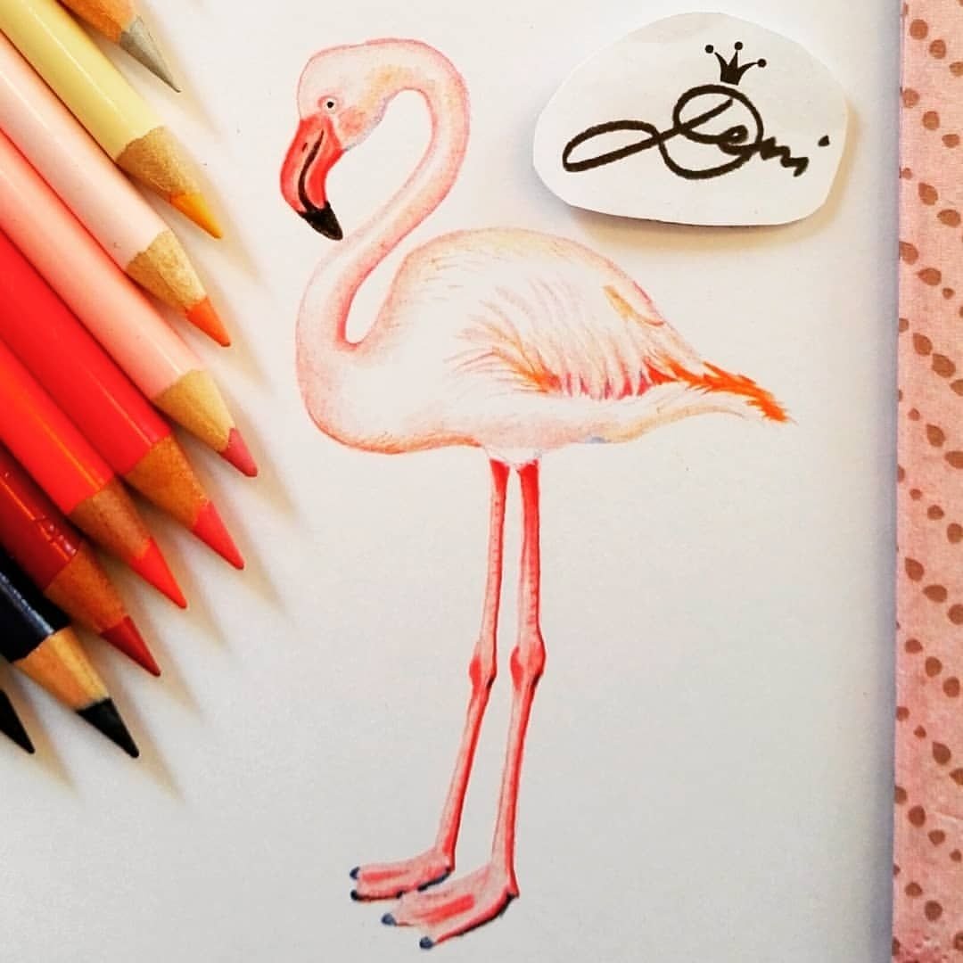 Фламинго рисунок маркерами