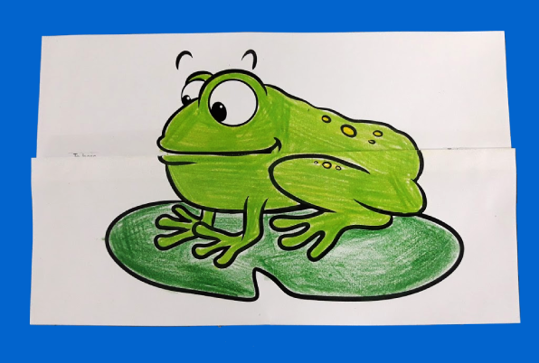 Frog Folding Surprise