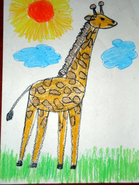 Жираф старшая группа