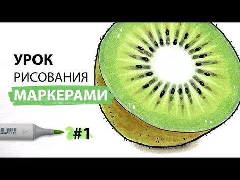 Киви рисунок маркерами