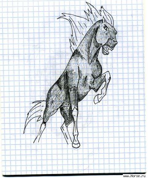 Рисунки лошадей ручкой