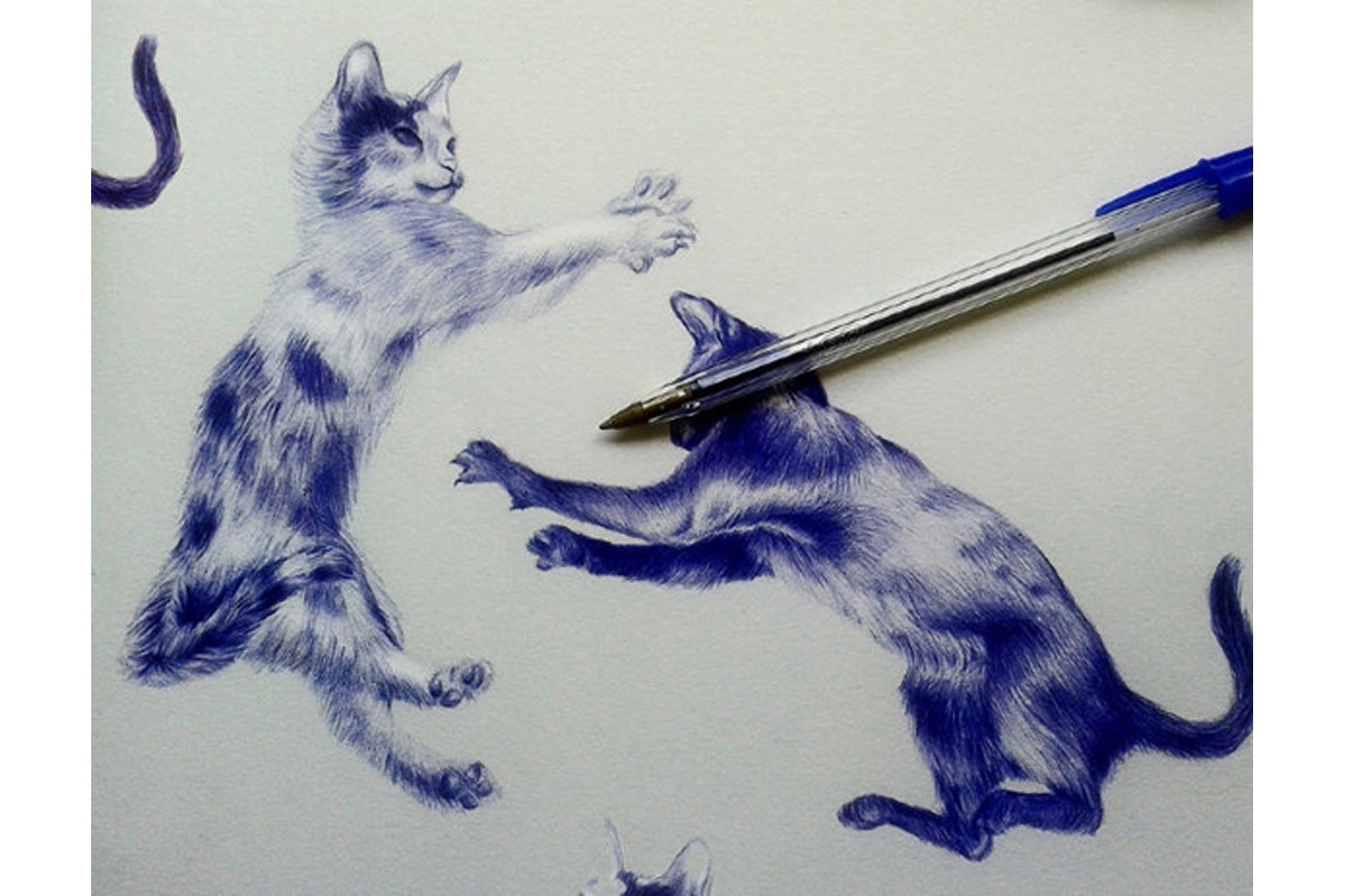 Зарисовки кошки ручкой