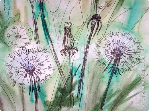 Одуванчик рисунок карандашом