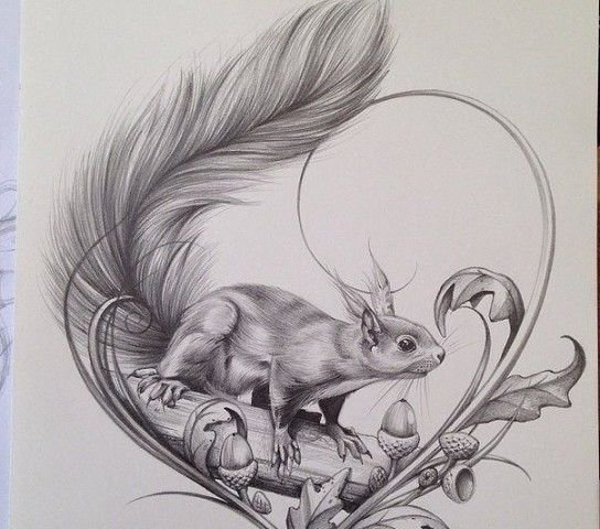 Эскизы тату белок