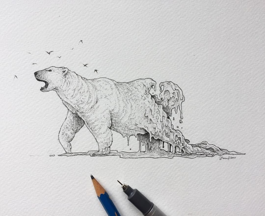 Скетчи медведя для рисования