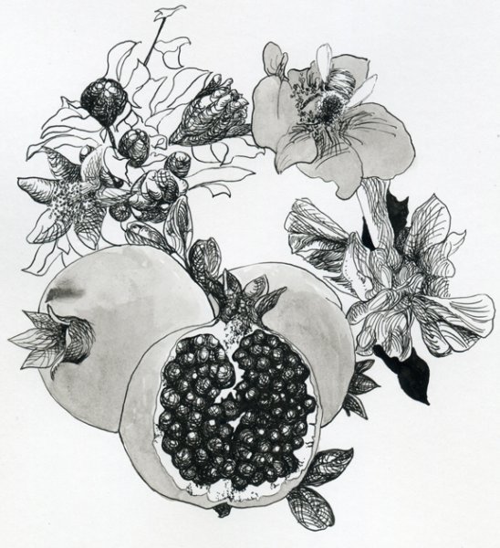 Фрукты в графике