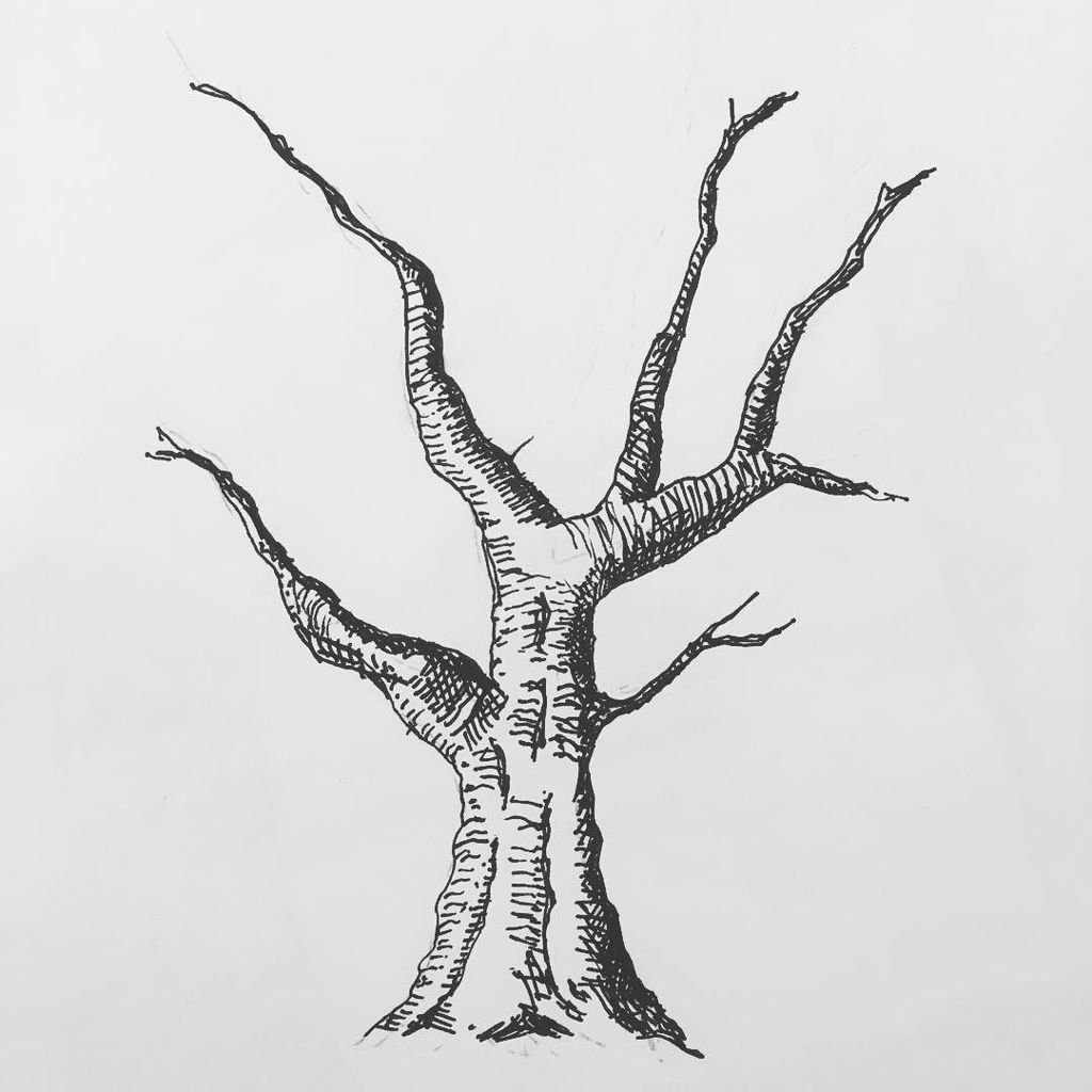 Дерево чёрной ручкой ветки