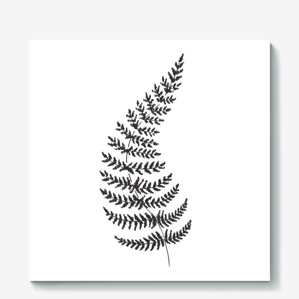 Папоротник одной линией