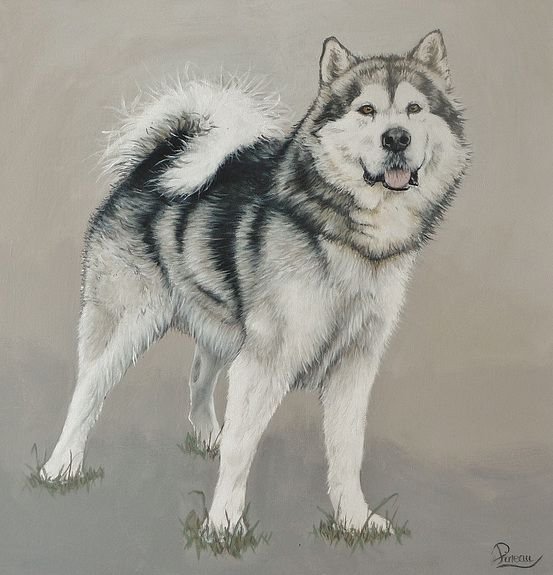 Волк маркерами