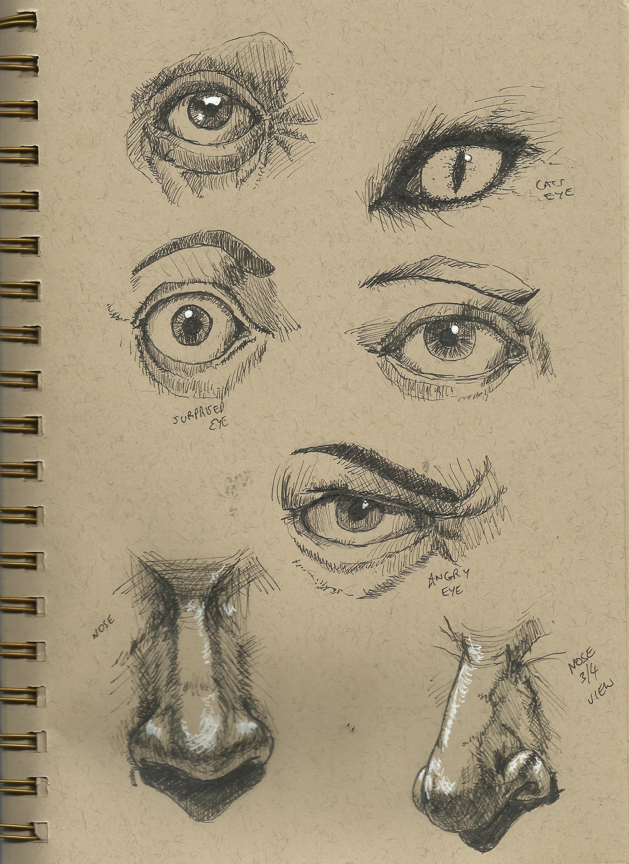Зарисовки носа и глаз