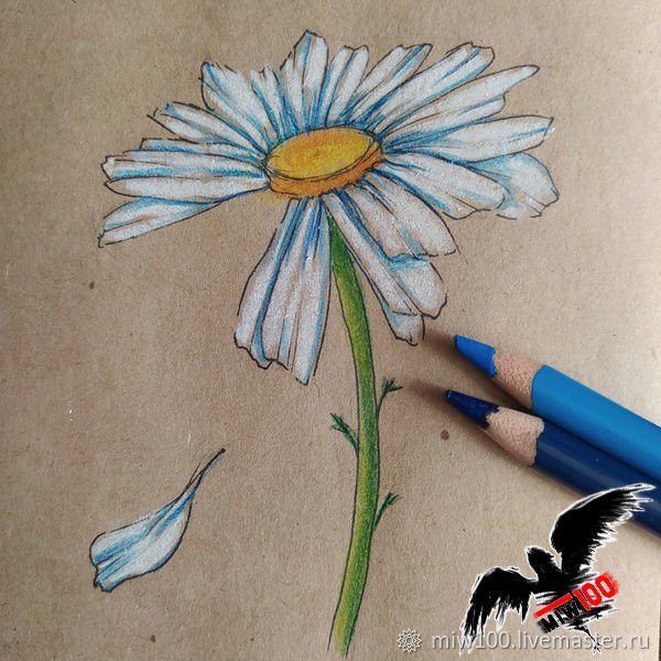 Графика цветы черно белые