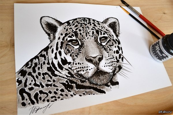 Тигр черной ручкой