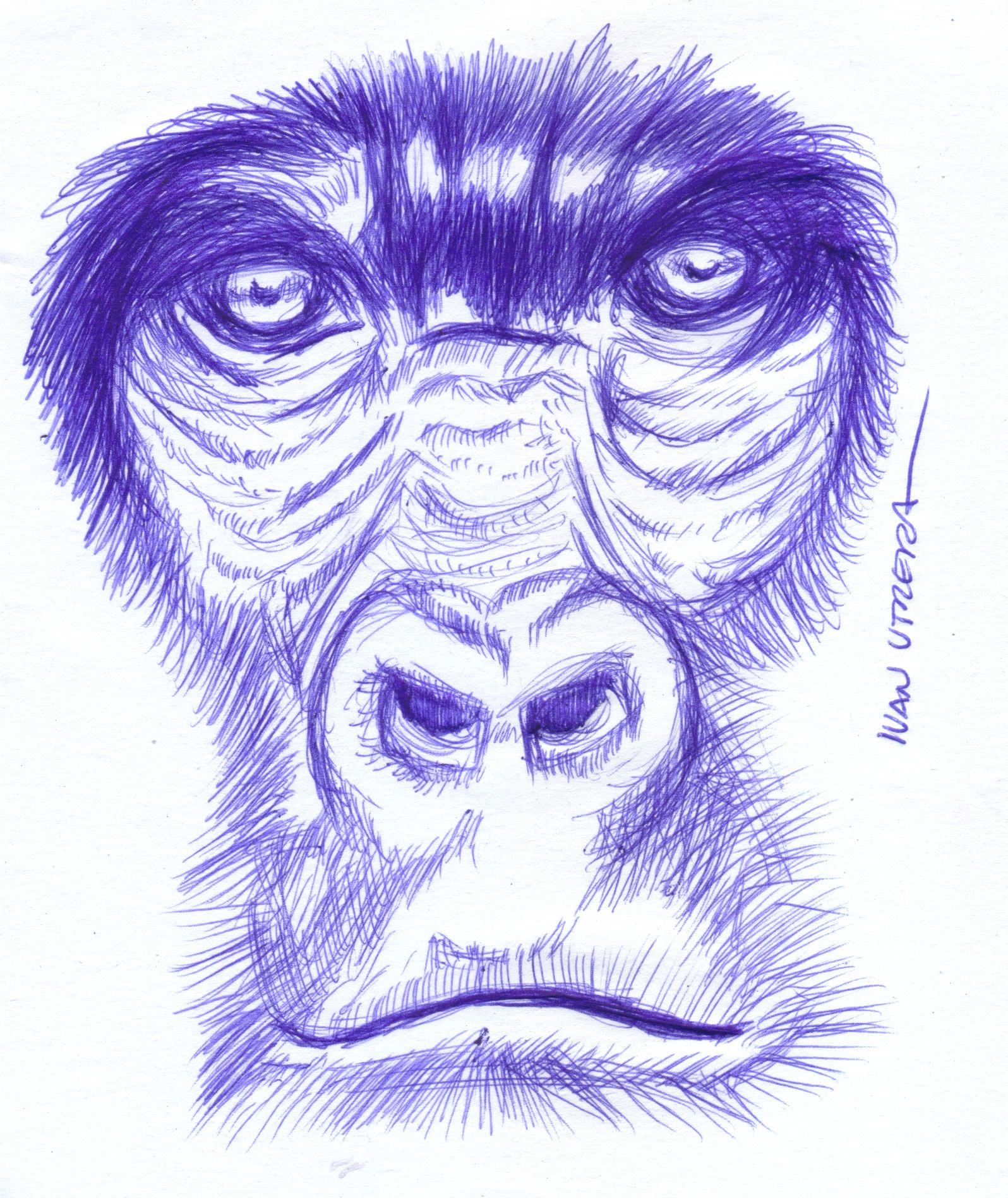 Графический рисунок обезьяны