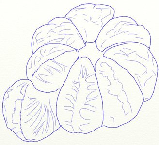 Оранжевая Мандаринка эскиз