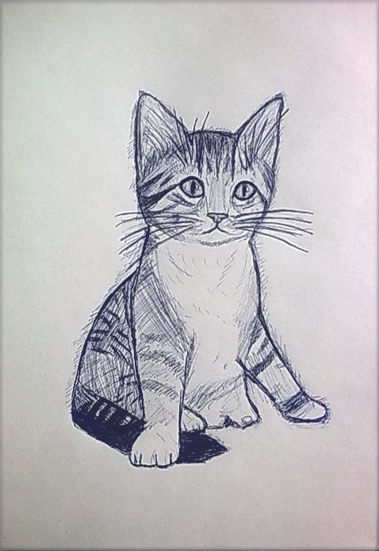 Котенок ручкой