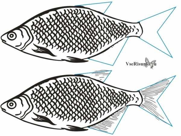 Рыба раскраска