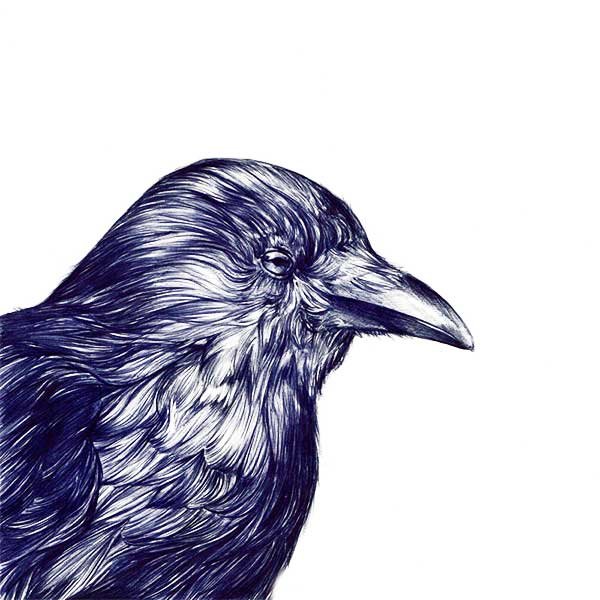 Пьтца шарикоаоц ручкой