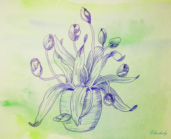 Цветы акварель и гелевая ручка