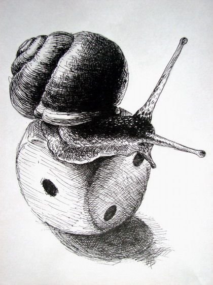 Карандашами - улитка