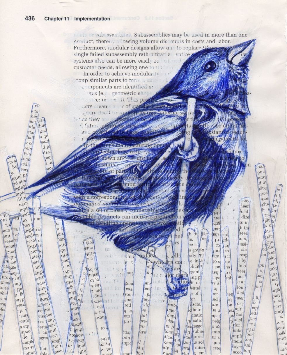 Зарисовки птиц ручкой