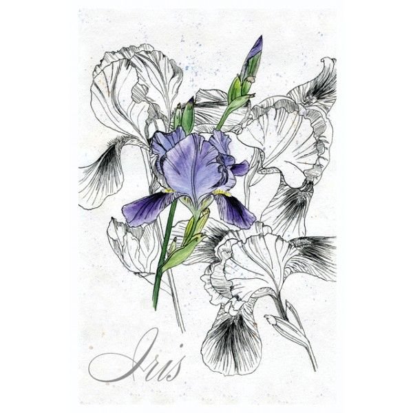 Ирисы тату эскиз
