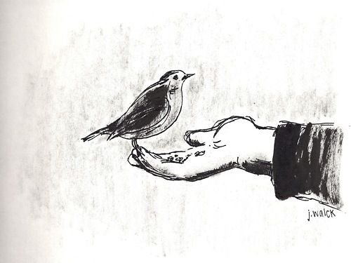 Птица с нарисованными руками