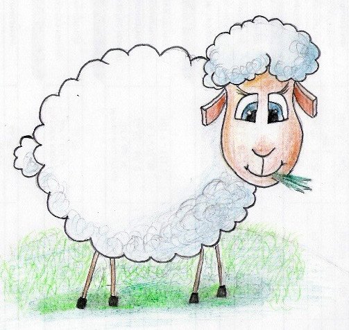 Барашек рисунок карандашом в графике
