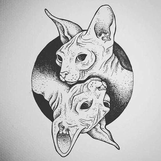 Сфинкс кошка тату эскиз