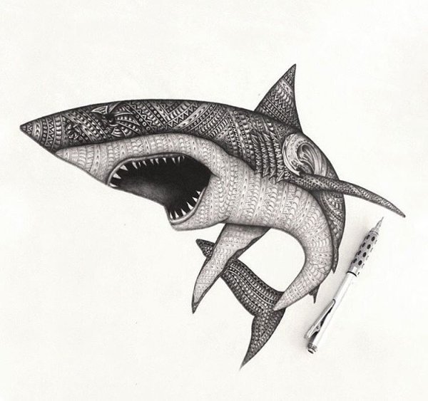 Акула рисунок ручкой