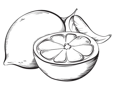 Лимон скетч