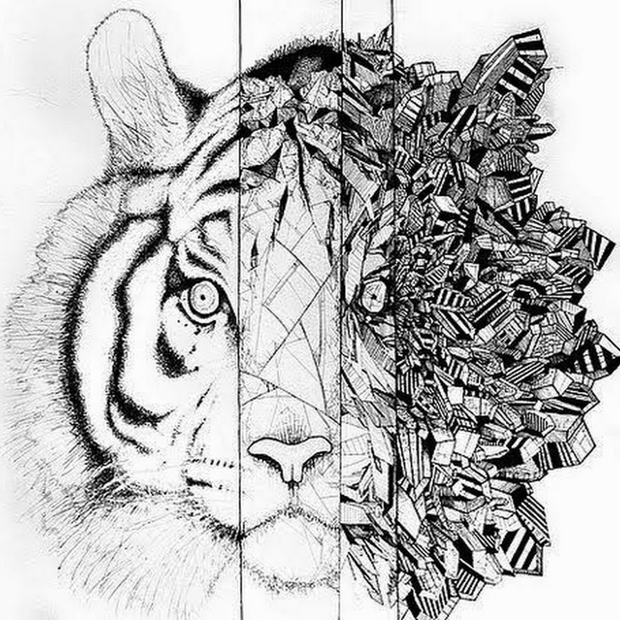 Biggest drawing. Тигр рисунок. Тигр эскиз. Рисунки в графике. Тигр графичный.